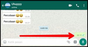 Cara Mengirim Pesan Kosong di Whatsapp